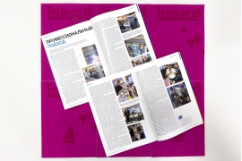 Профессиональный подход